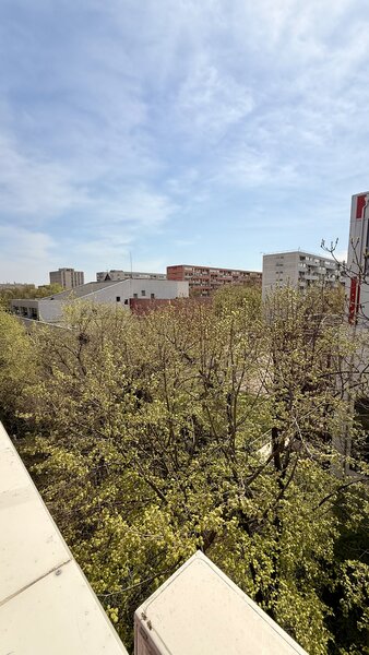 Campia Libertatii, sect 3, parcul Gheorghe Petrascu